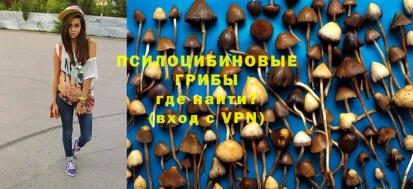 2c-b Зеленокумск