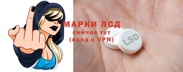 стаф Алзамай