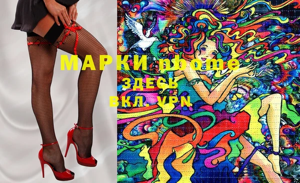 стаф Алзамай