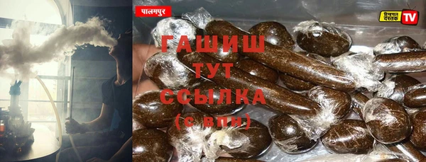 стаф Алзамай