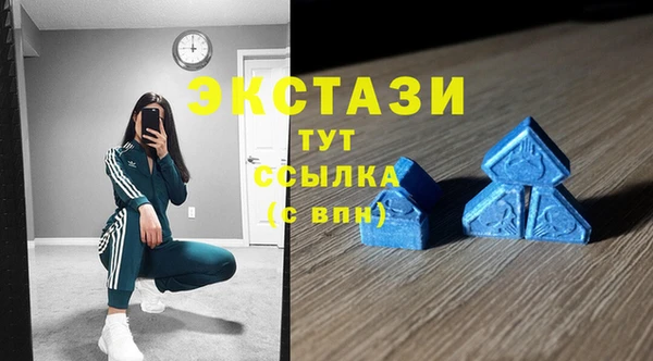 стаф Алзамай