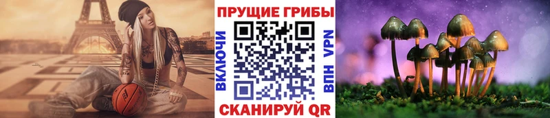 Псилоцибиновые грибы MAGIC MUSHROOMS наркошоп Армянск